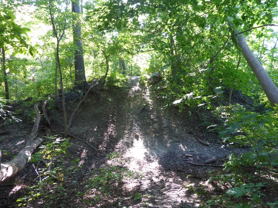 Thunderbird Mound from the east in September 2021. (Photo credit: Alessandro Tersigni.)